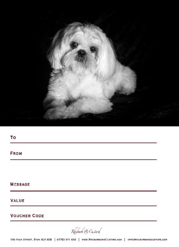 Shih-tzu-Puppy 
 Buy Online > Download > Print > Fill > Give
Click the Blue DOWNLOAD button below to print this design of certificate at home after you have purchased your Voucher online. Please use the invoice number as the Voucher Code.