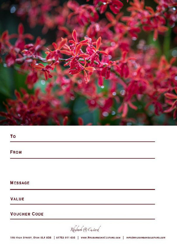 Red-Orchids 
 Buy Online > Download > Print > Fill > Give
Click the Blue DOWNLOAD button below to print this design of certificate at home after you have purchased your Voucher online. Please use the invoice number as the Voucher Code.