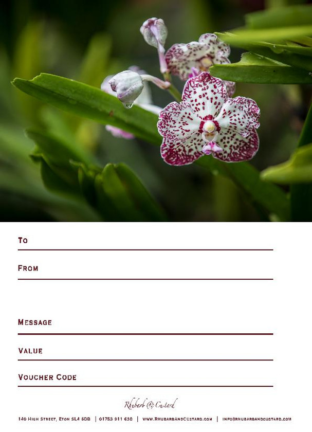 Spotted-Orchid 
 Buy Online > Download > Print > Fill > Give
Click the Blue DOWNLOAD button below to print this design of certificate at home after you have purchased your Voucher online. Please use the invoice number as the Voucher Code.